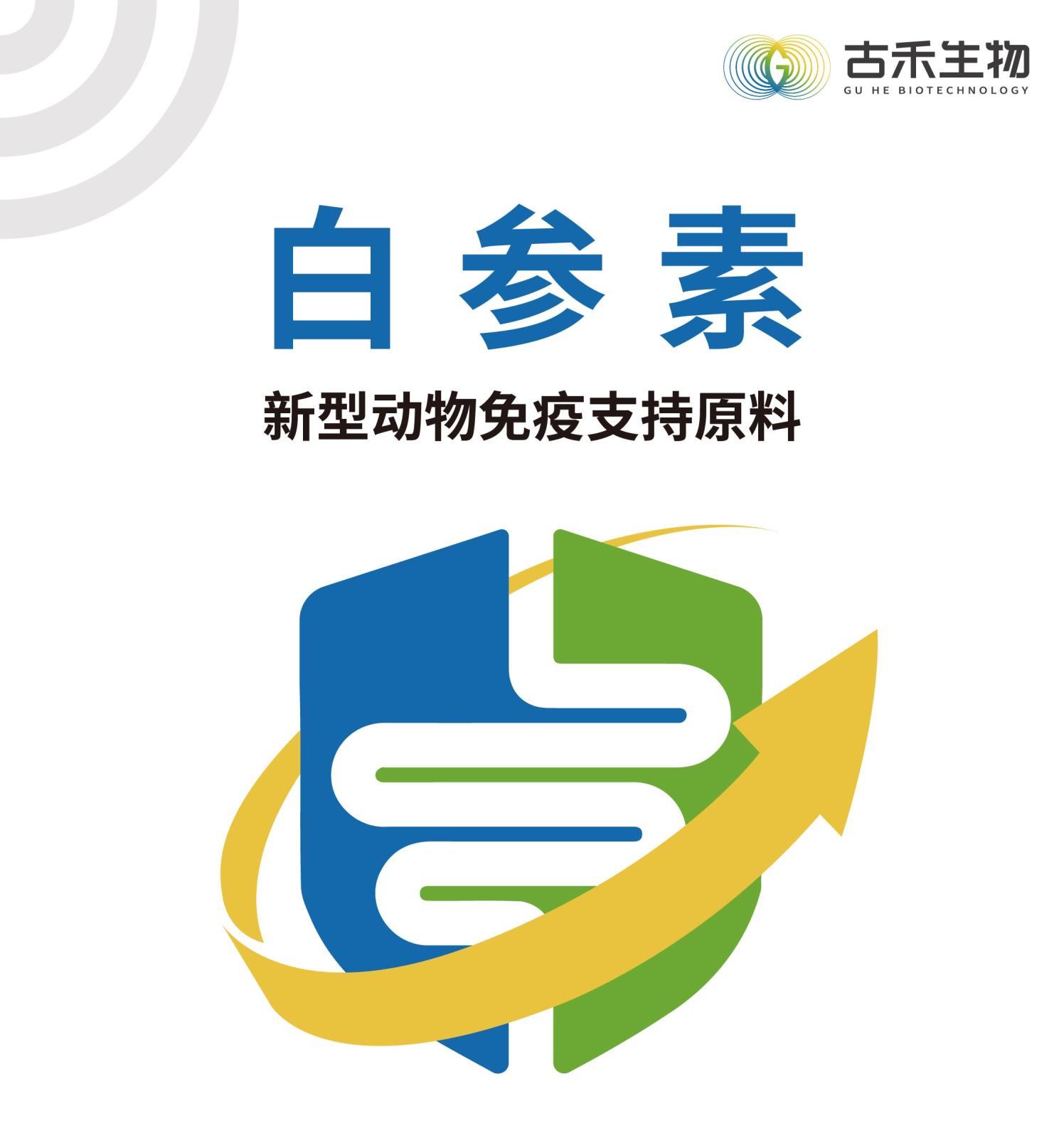 白參素網(wǎng)站介紹長圖1kg_畫板-1-副本-2_畫板-1-副本-2_畫板-1-副本-2_01.jpg